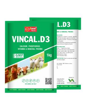 VINCAL.D3